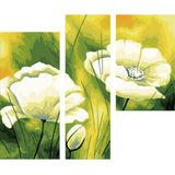 malen-nach-zahlen-triptychon-blumen-dy-128