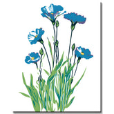 Malen nach Zahlen Pflanzen Blaue Kornblumen
