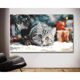 Malen nach Zahlen Weihnachten Katze