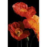 Malen nach Zahlen Blumen