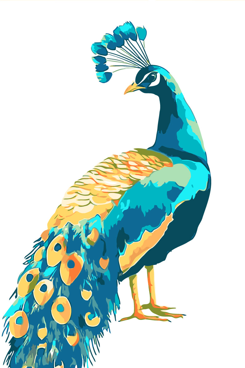 Malen nach Zahlen Pfau