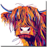Malen nach Zahlen Highland Hochland Rind Gesicht