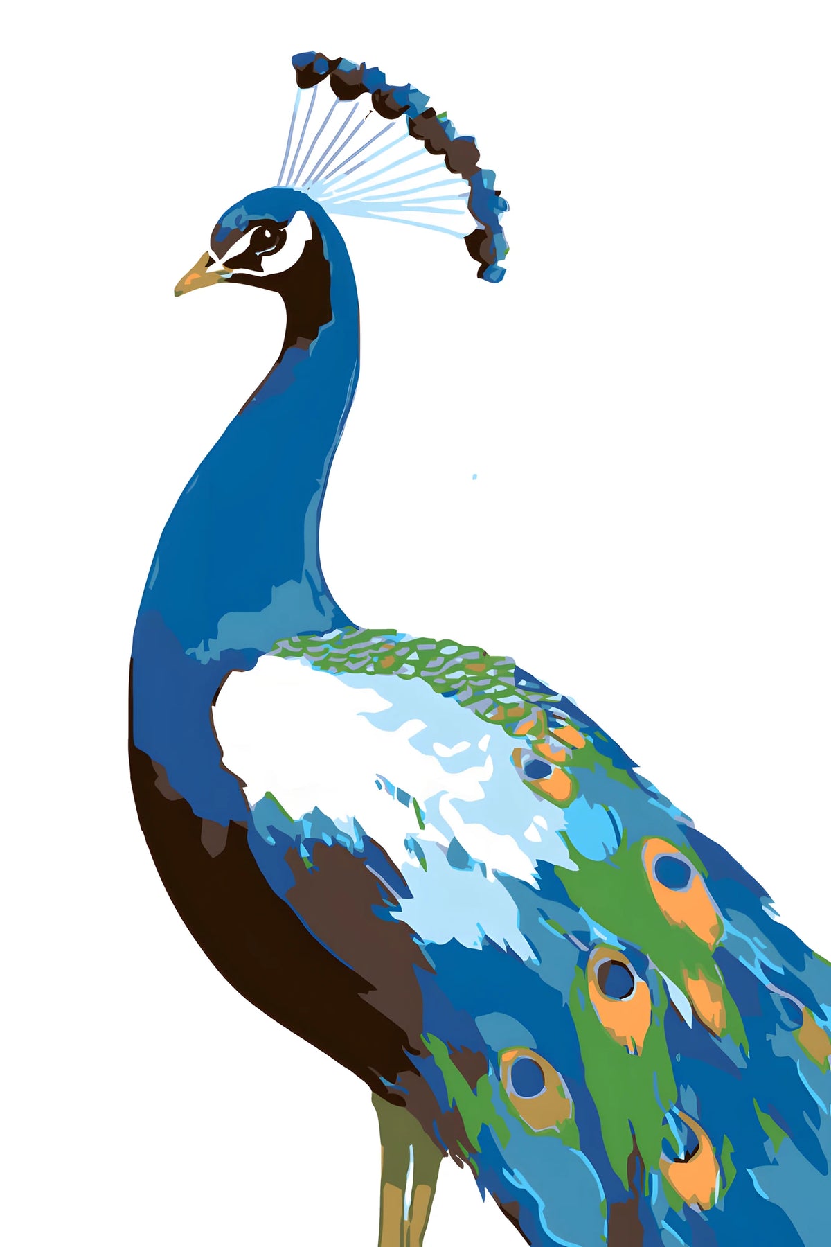 Malen nach Zahlen Pfau