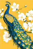 Malen nach Zahlen Pfau