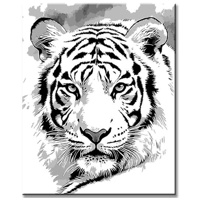 Malen nach Zahlen Tiger Portrait schwarz-weiß